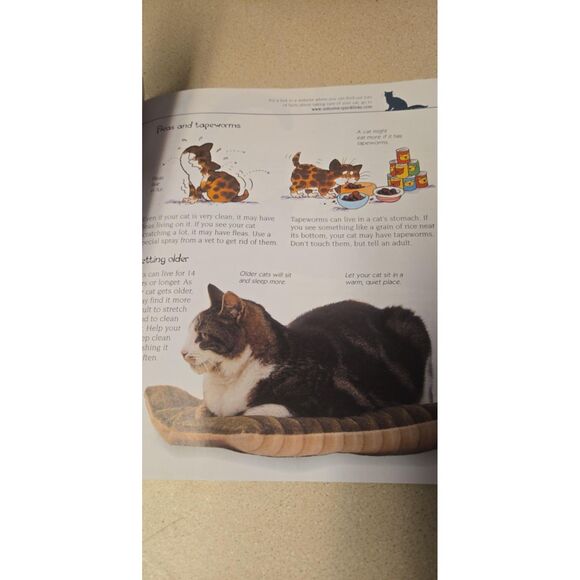 Cats and Kittens Usborne First Pets With Internet Link Paperback - Picture 4 of 6
